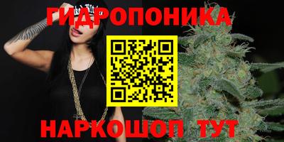 сатива Кинель