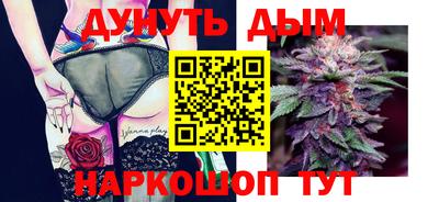 сатива Кинель