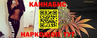 сатива Кинель