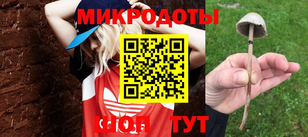 Галлюциногенные грибы GOLDEN TEACHER Кохма
