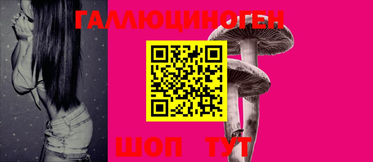Кохма  Псилоцибиновые грибы Magic Shrooms  Вход с VPN 